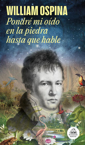 PONDRE MI OIDO EN LA PIEDRA HASTA QUE HA
