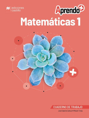 Aprendo + / Matemáticas 1 / Secundaria (Cuaderno De Trabajo)