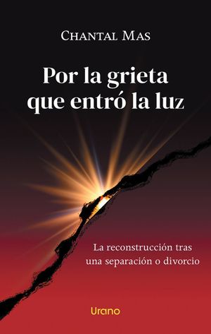 POR LA GRIETA QUE ENTRO LA LUZ (MEX)