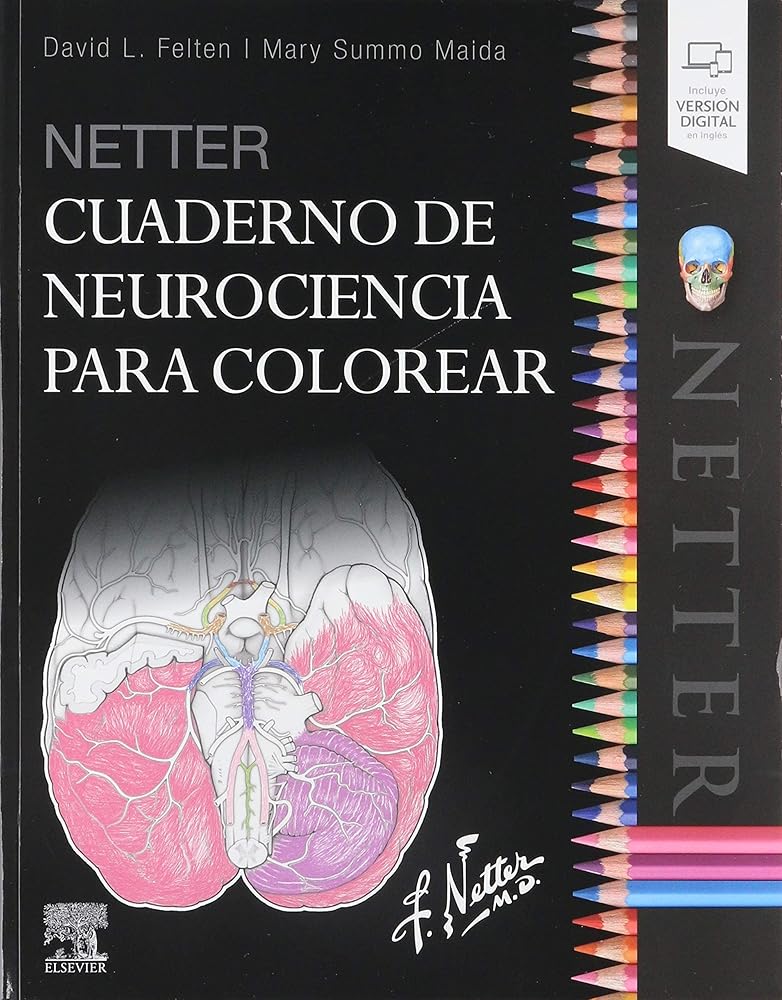 Netter. Cuaderno De Neurociencia Para Colorear cover image