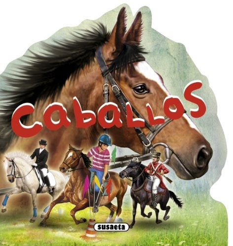 Caballos Susaeta, Equipo