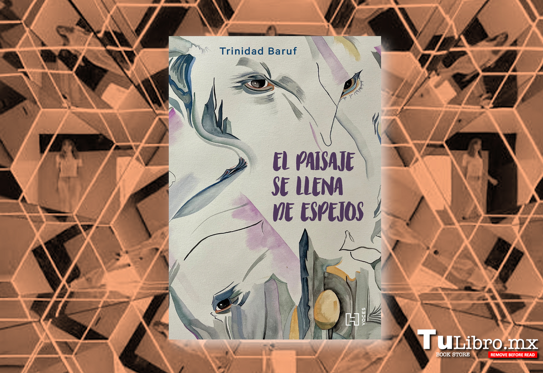 El paisaje se llena de espejos de Trinidad Baruf: la novela latinoamericana que tienes que leer este año 🪞📚