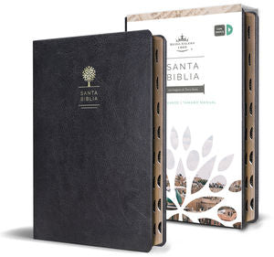 BIBLIA RVR 1960 SIMIL PIEL NEGRA