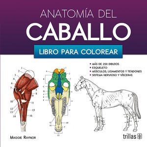 Anatomía Del Caballo. Libro Para Colorear