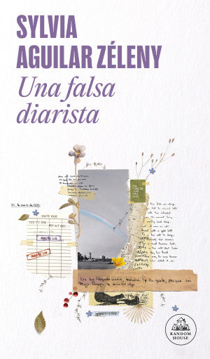 Una falsa diarista
