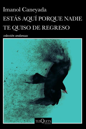 Estás aquí porque nadie te quiso de regreso