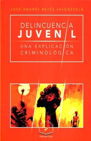 DELICUENCIA JUVENIL. UNA EXPLICACION CRIMINOLOGICA