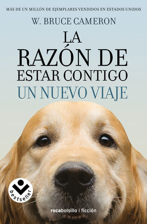 La Razón De Estar Contigo. Un Nuevo Viaje