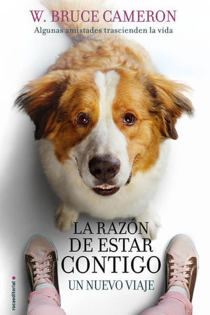 La Razón De Estar Contigo. Un Nuevo Viaje