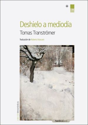 Deshielo A Mediodía