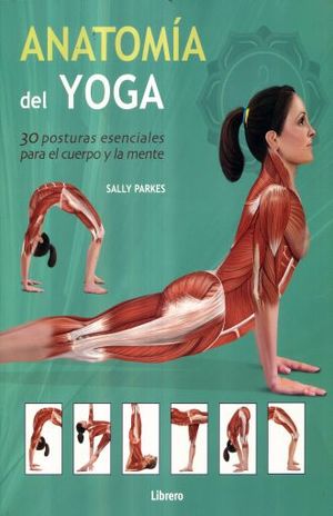 Anatomia Del Yoga