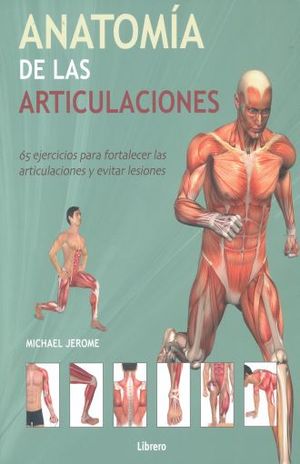 Anatomia De Las Articulaciones