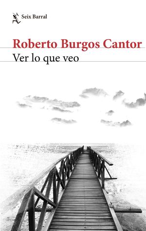 Ver lo que veo