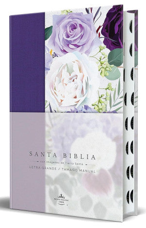 BIBLIA RVR60 TAPA DURA, TELA MORADA, FLO