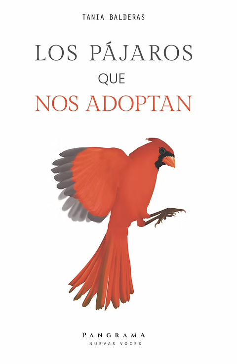 Los pájaros que nos adoptan