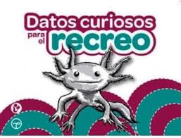 Datos Curiosos Para El Recreo