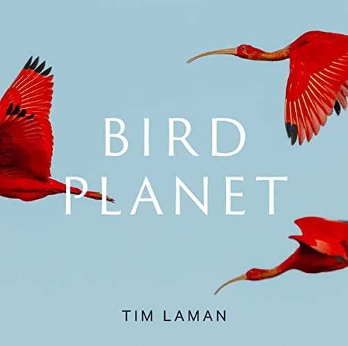 Bird Planet: A Photographic Journey [Hardcover] Laman, Tim
