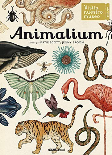 Animalium [Paperback] Broom, Jenny and Scott, Katie