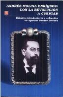 Andrés Molina Enríquez: con la revolución a cuestas Basave Benítez, Agustín Francisco