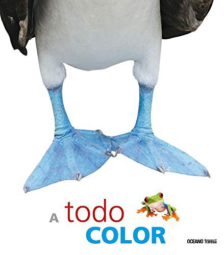 A todo color [Paperback] Varios Autores