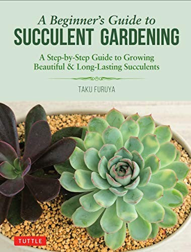 A Beginner's Guide to Succulent Gardening: A Step-By-Step Guide to Growing Beautiful & Long-Lasting Succulents [Paperback] Furuya, Taku