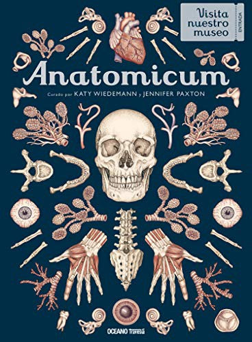 Anatomicum / Pd.