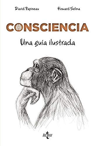 Consciencia
