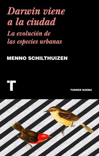 Darwin viene a la ciudad [Paperback] Schilthuizen, Menno