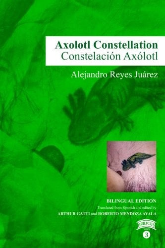 Axolotl Constellation: 3 [Paperback] Carbajal Huerta, Silvia; Rodrigo, Balam and Gatti, Arthur