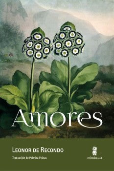 Amores [Paperback] de Recondo, Leonor and Feixas, Palmira