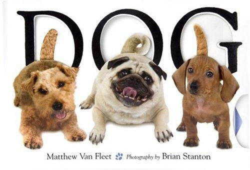 Dog [Novelty Book] Van Fleet, Matthew and Stanton, Brian
